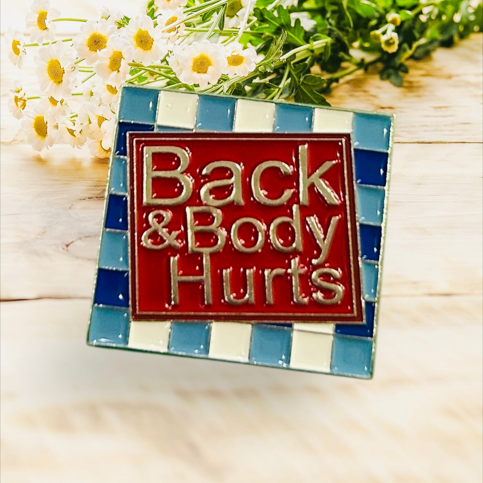 Pin Back and Body Hurts