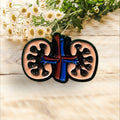 Pin Riñones