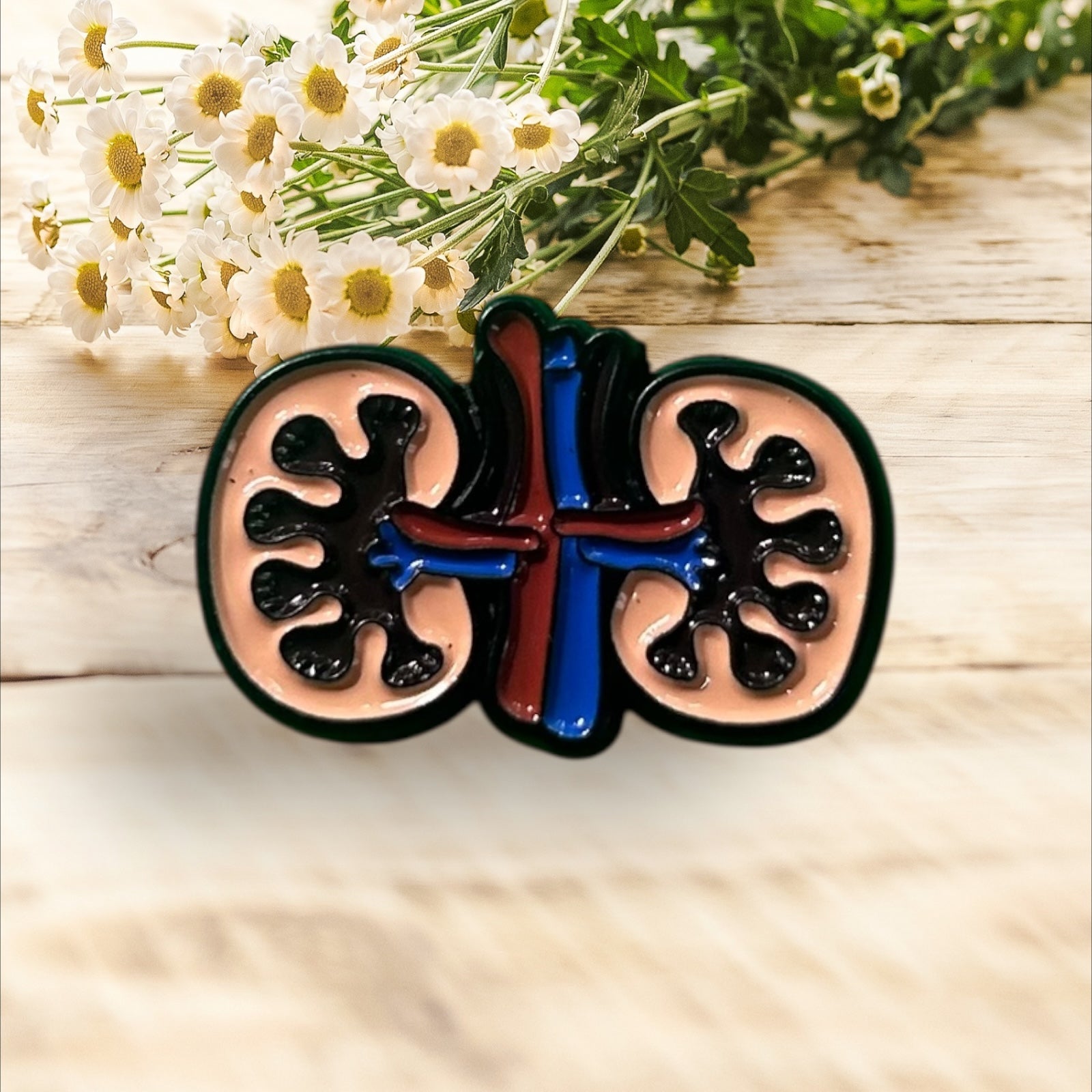 Pin Riñones