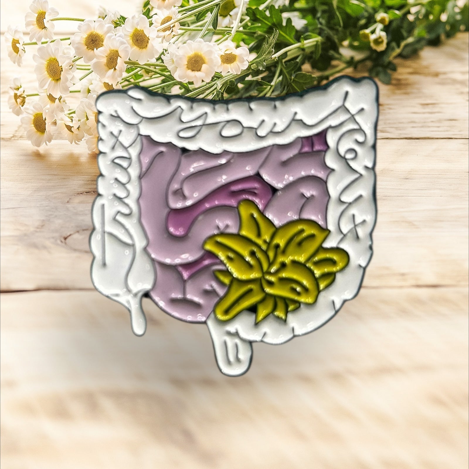 Pin Intestinos