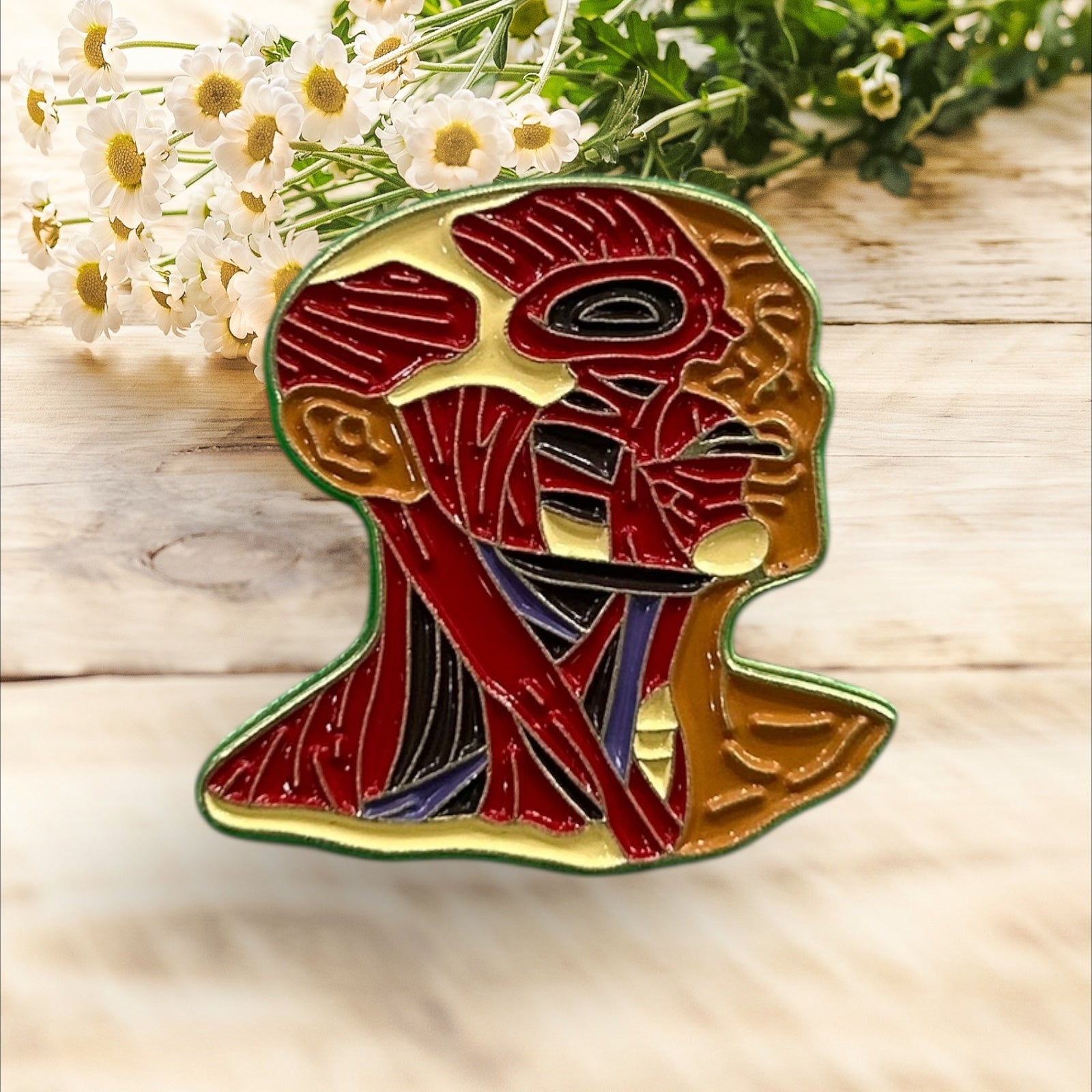Pin Músculos